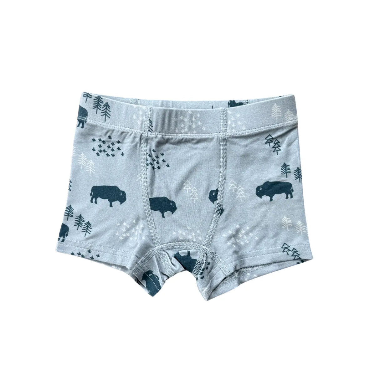 Boys Bamboo Boxers