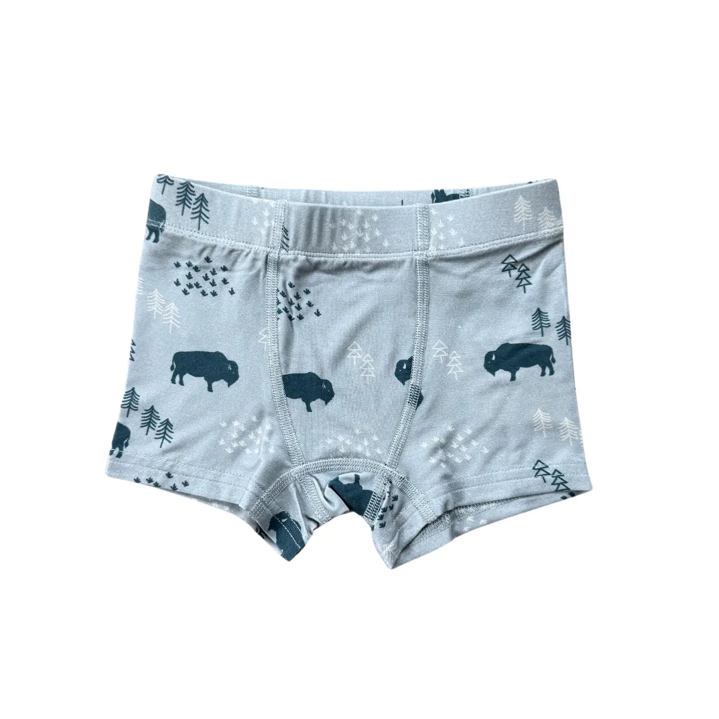 Boys Bamboo Boxers