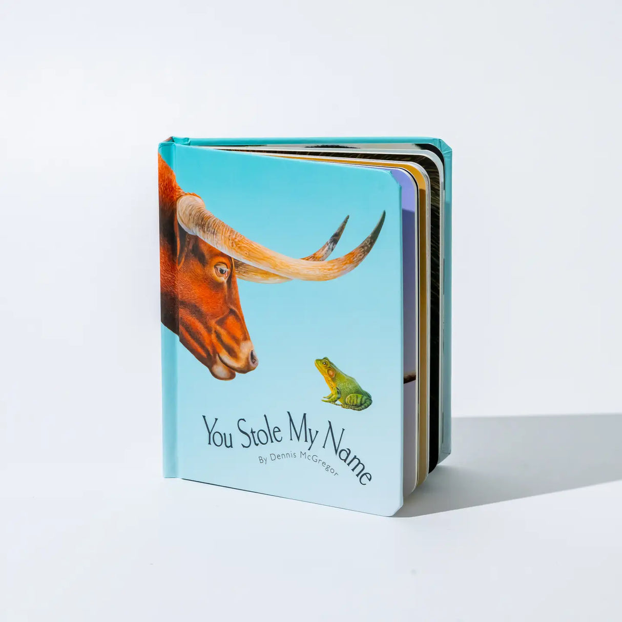 You Stole My Name Board Book