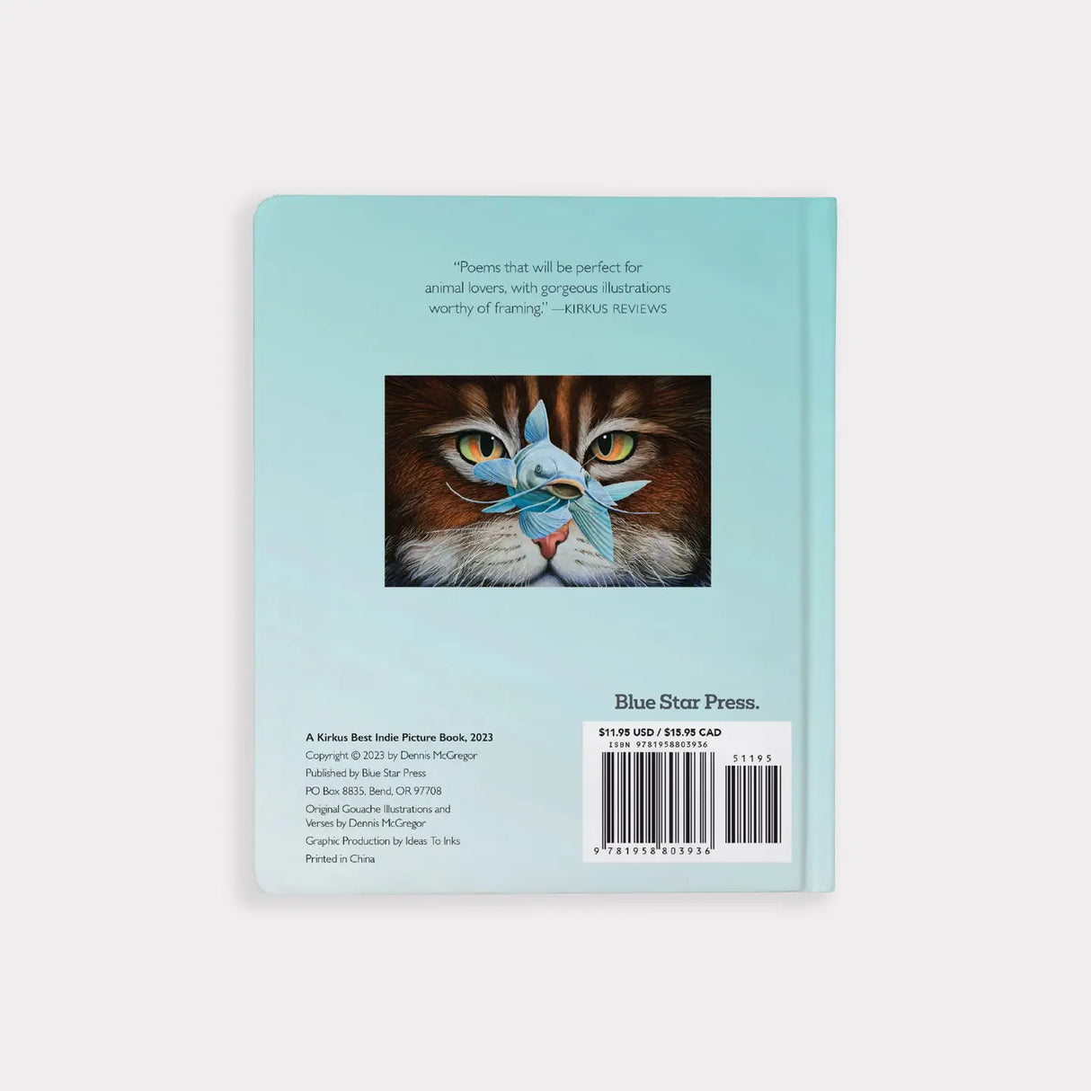 You Stole My Name Board Book