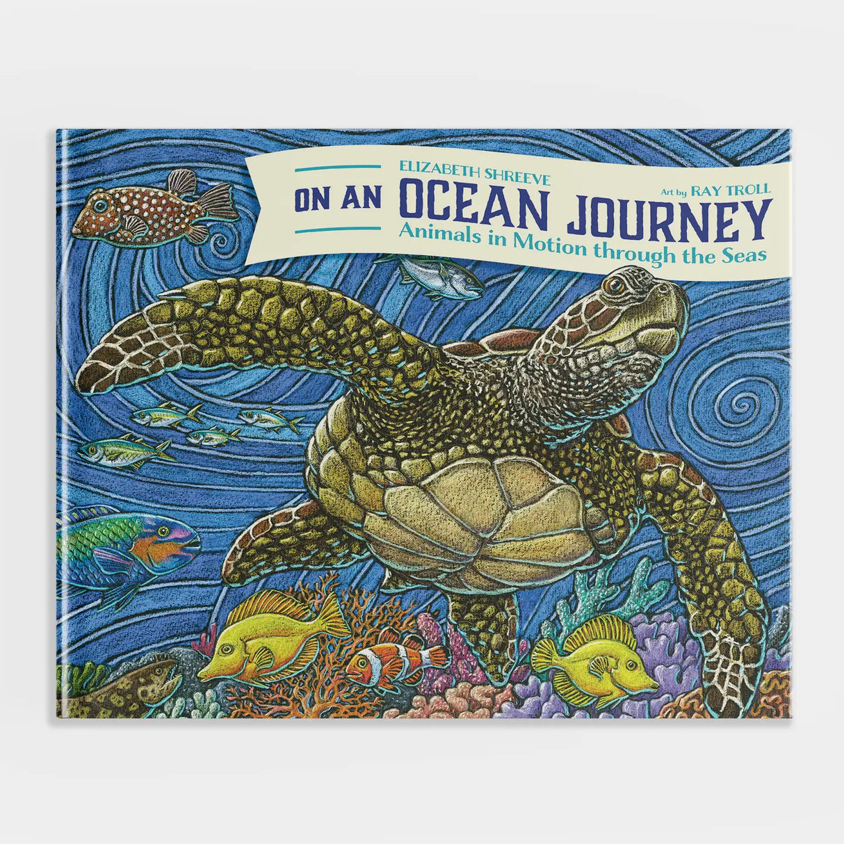 On An Ocean Journey: Animals in Motion Through the Seas