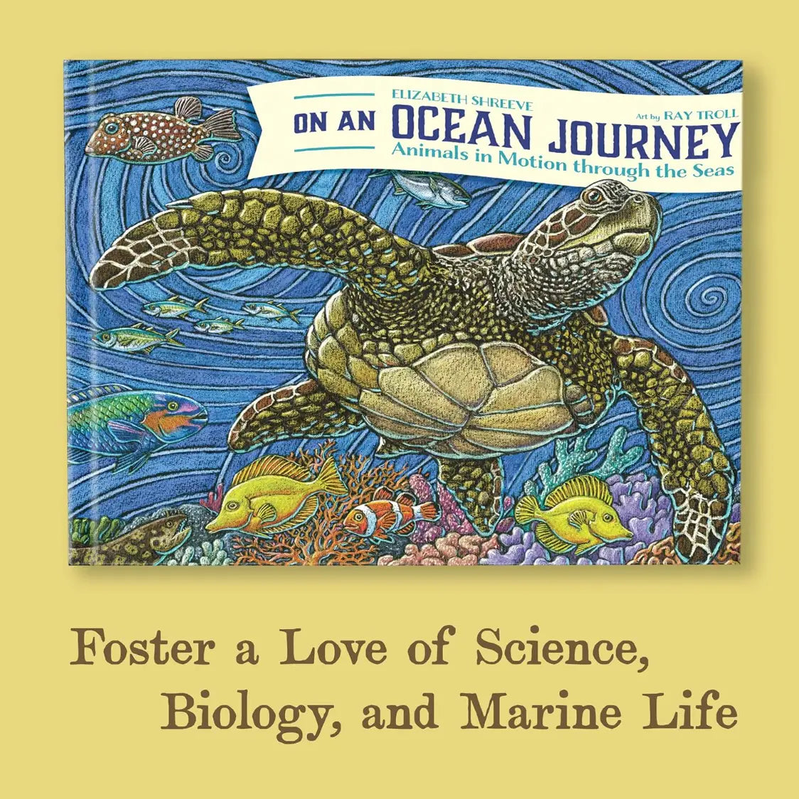 On An Ocean Journey: Animals in Motion Through the Seas