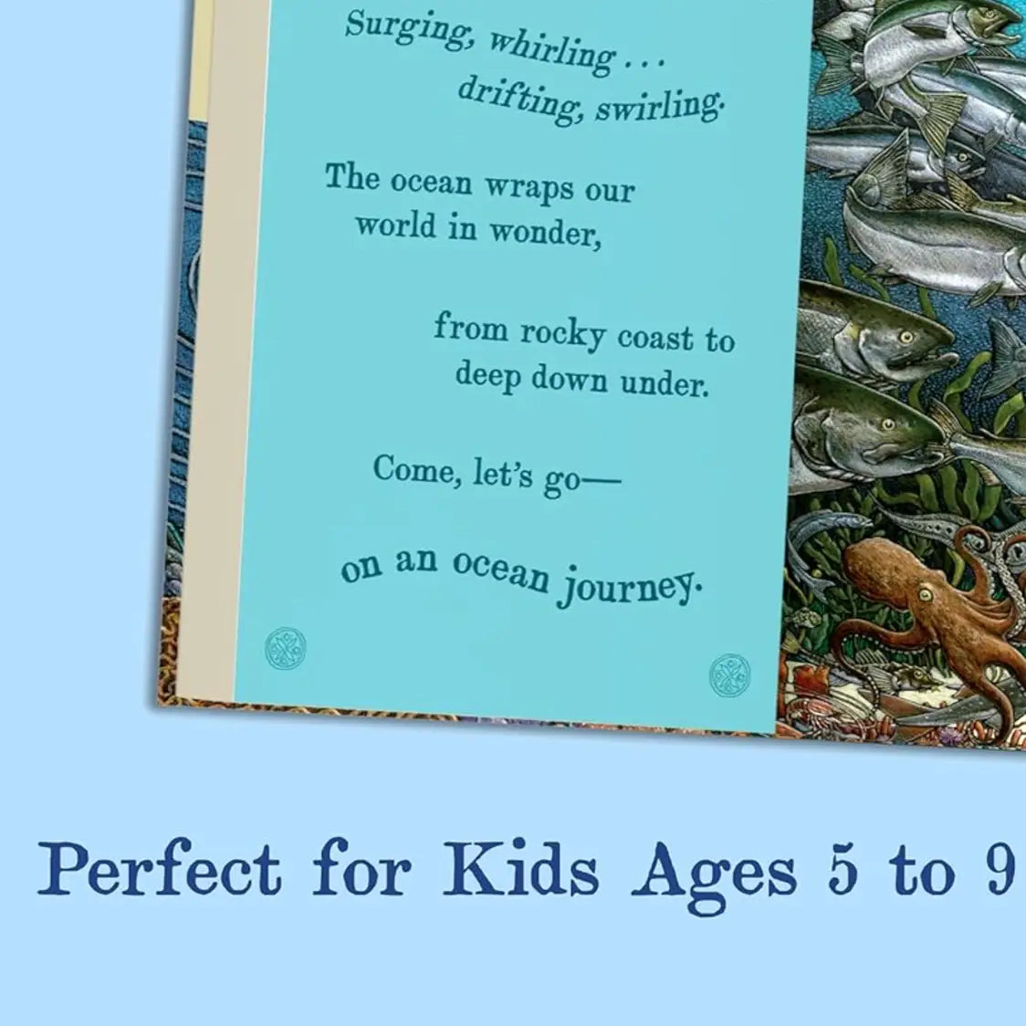 On An Ocean Journey: Animals in Motion Through the Seas