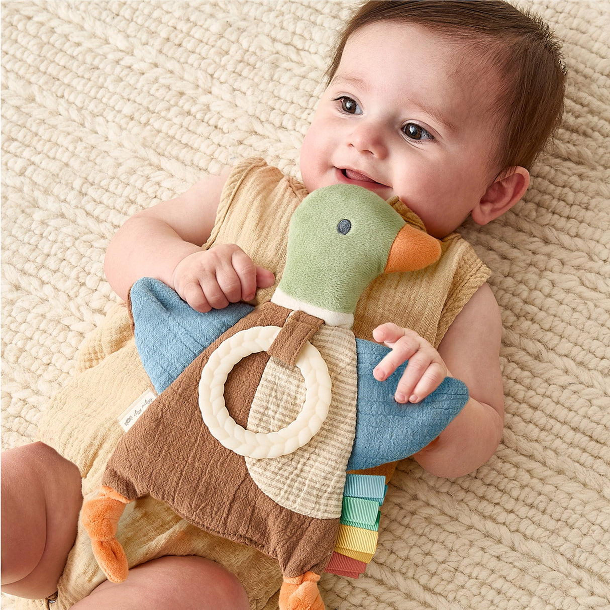 Mallard Duck Itzy Friends Crinkle Lovey