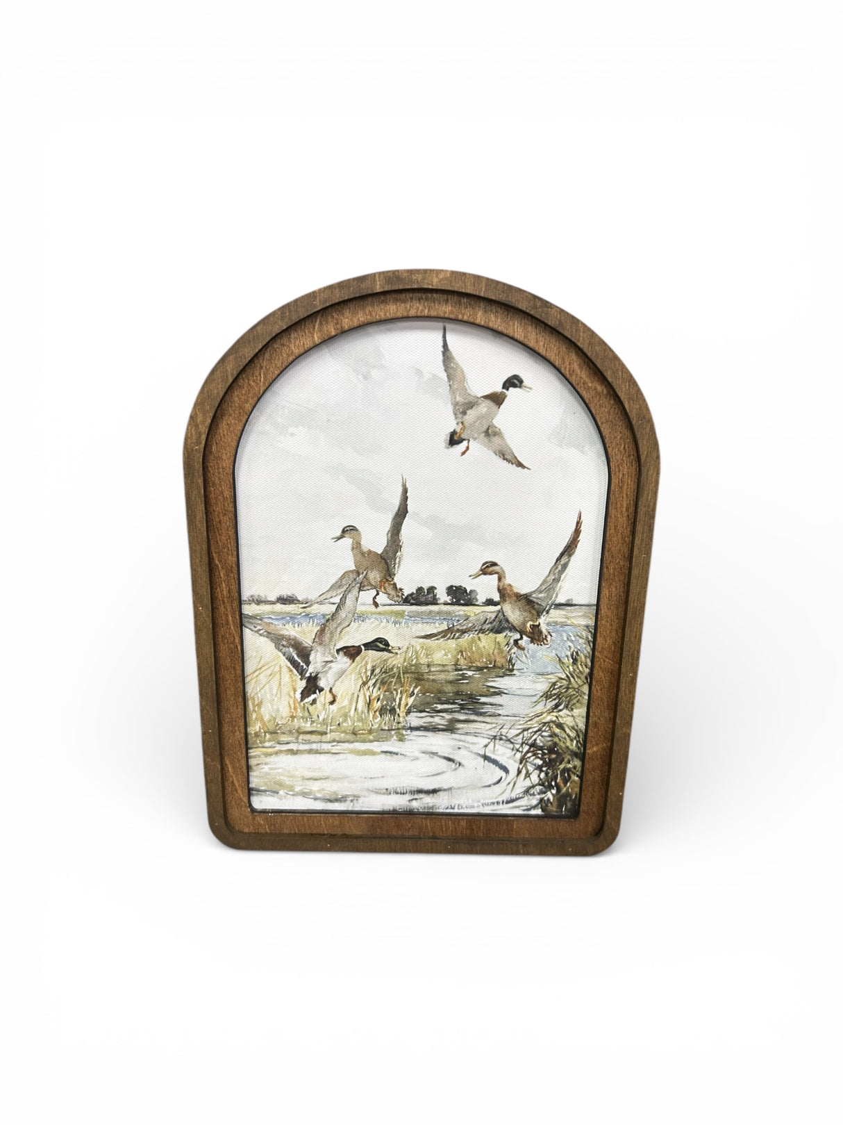 Arch Top Mallard Canvas Photo