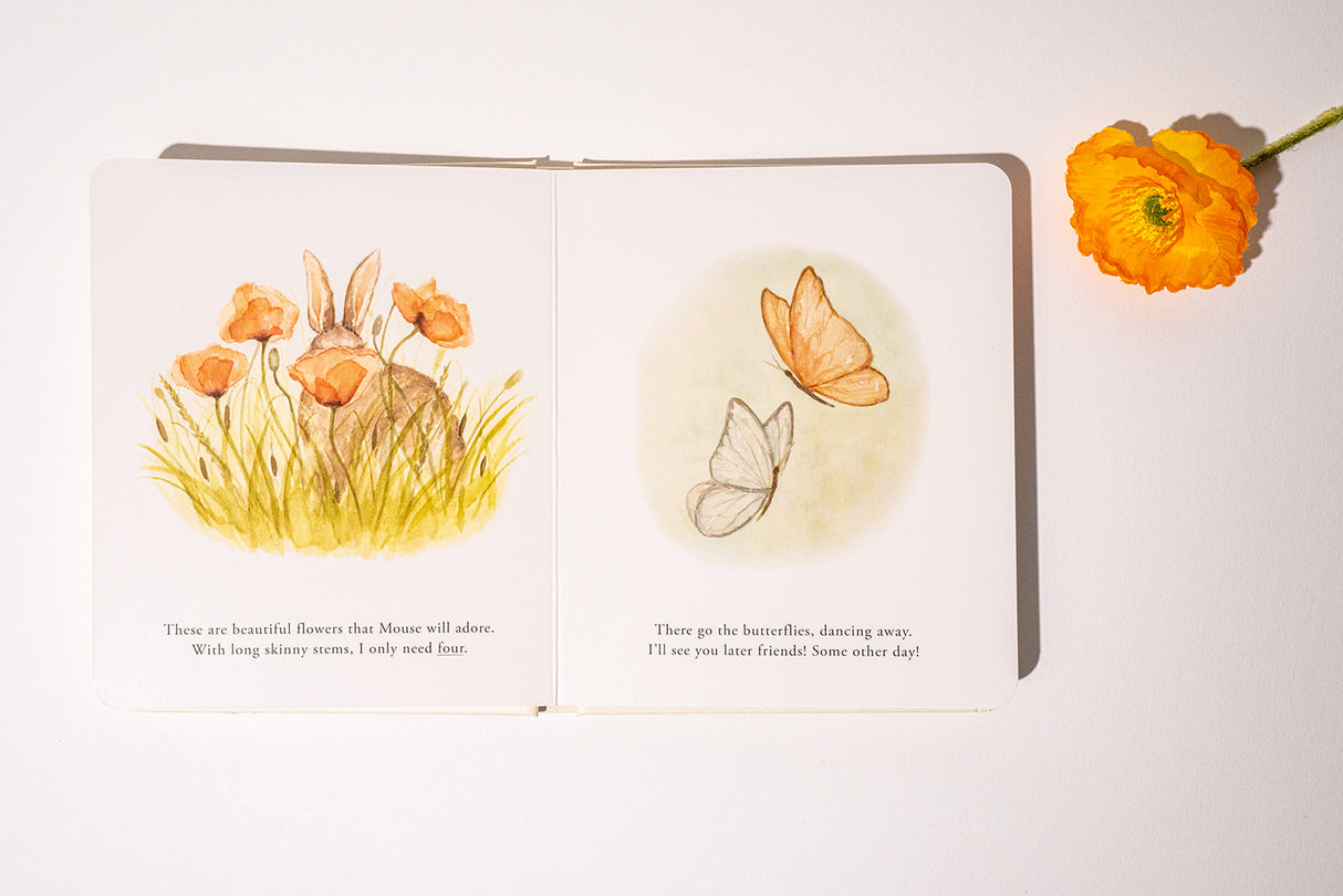 Our Little Adventures Book Set