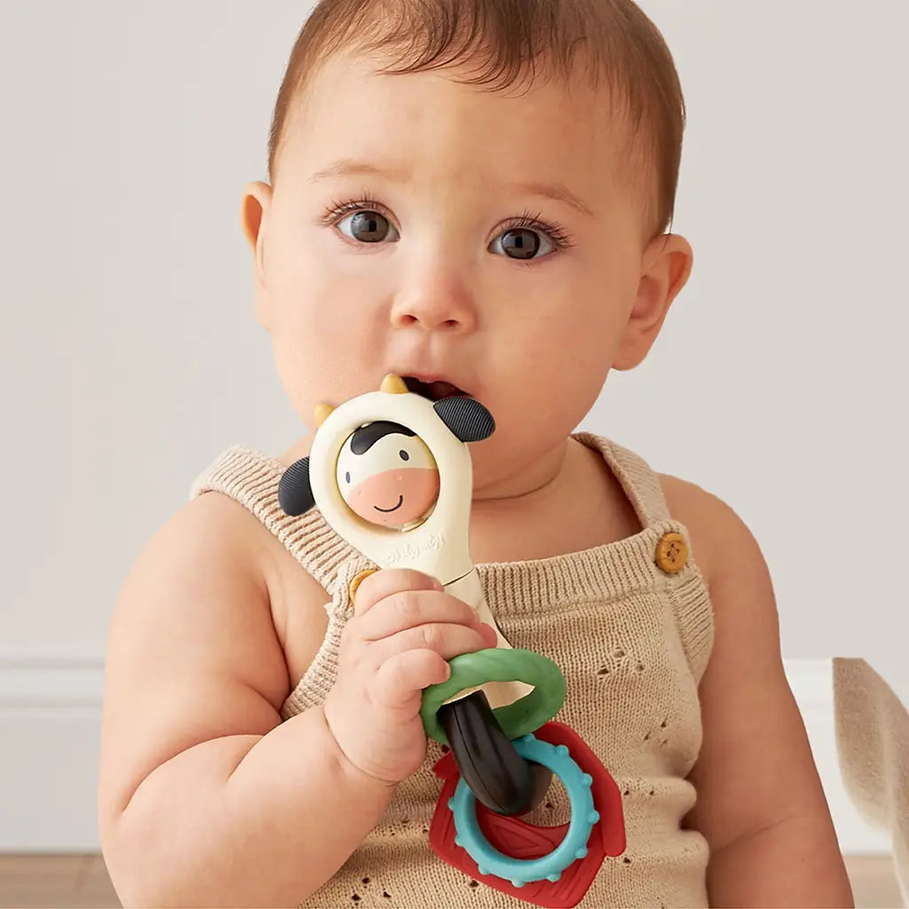 Itzy Cow Spinner
