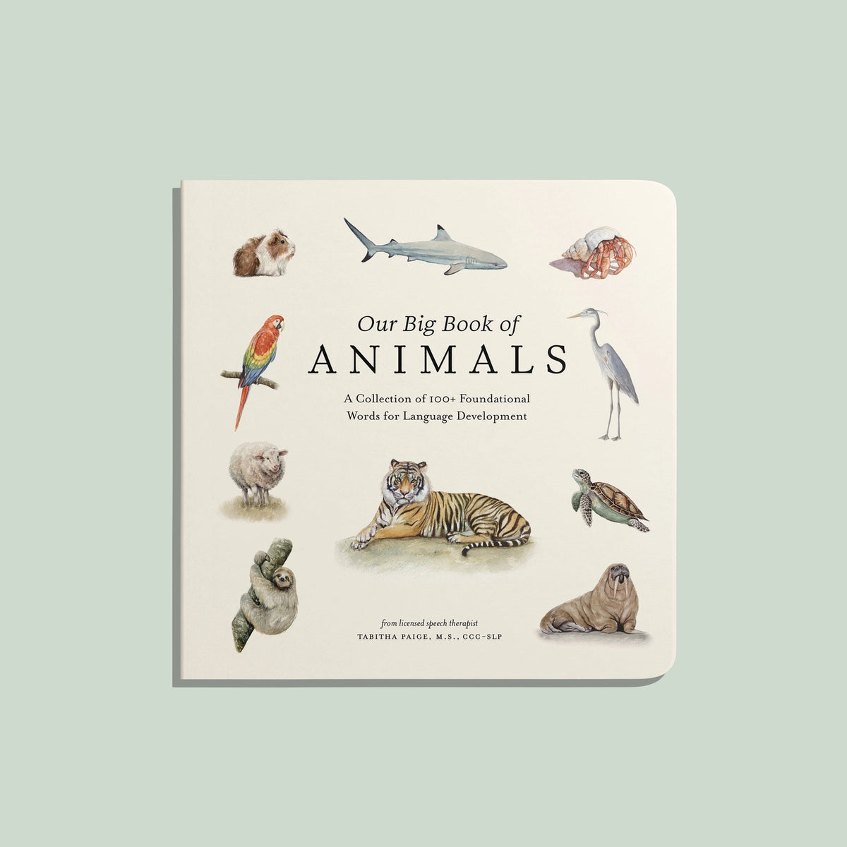 Our Big Book of Animals