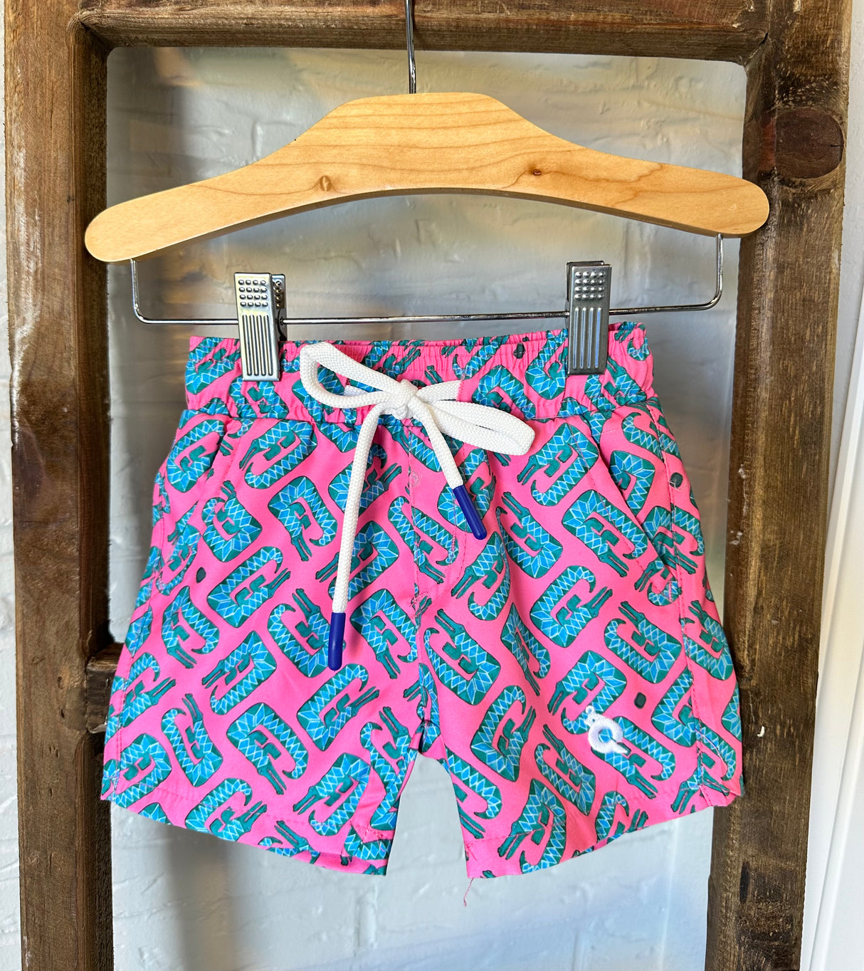 Men’s Alligator Swim Trunks