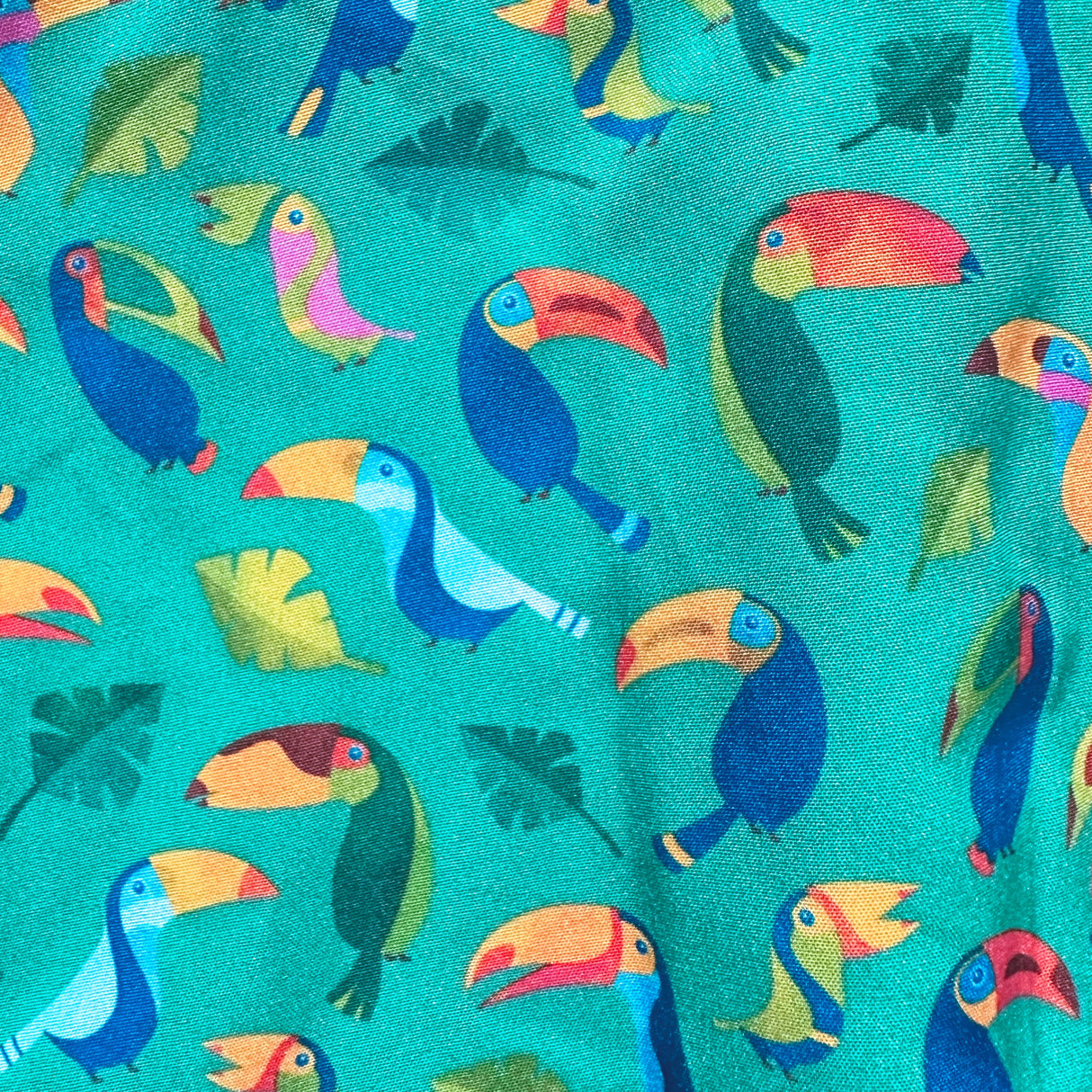 Toucan Swim Trunk