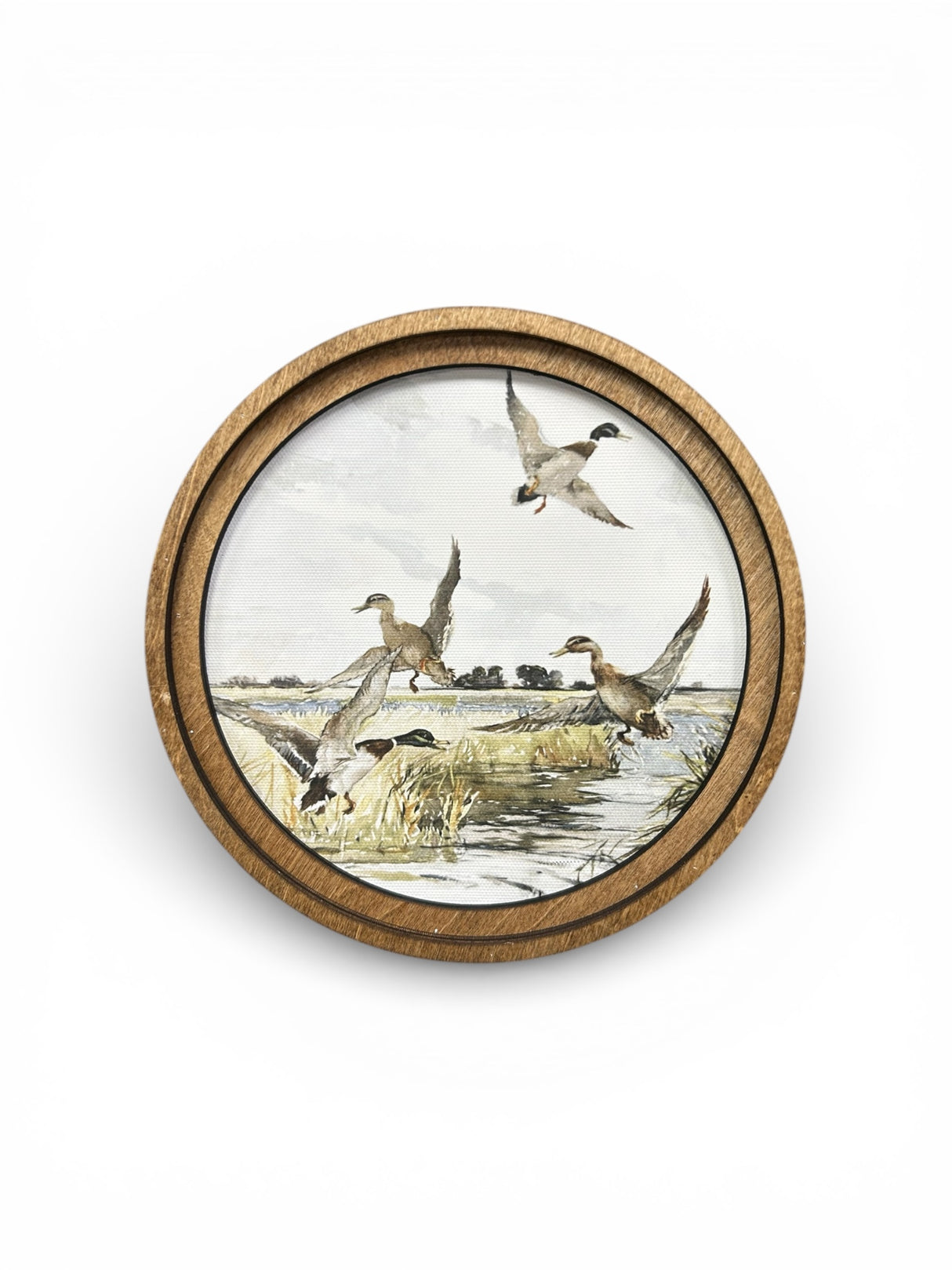 Round Mallard Canvas Photo