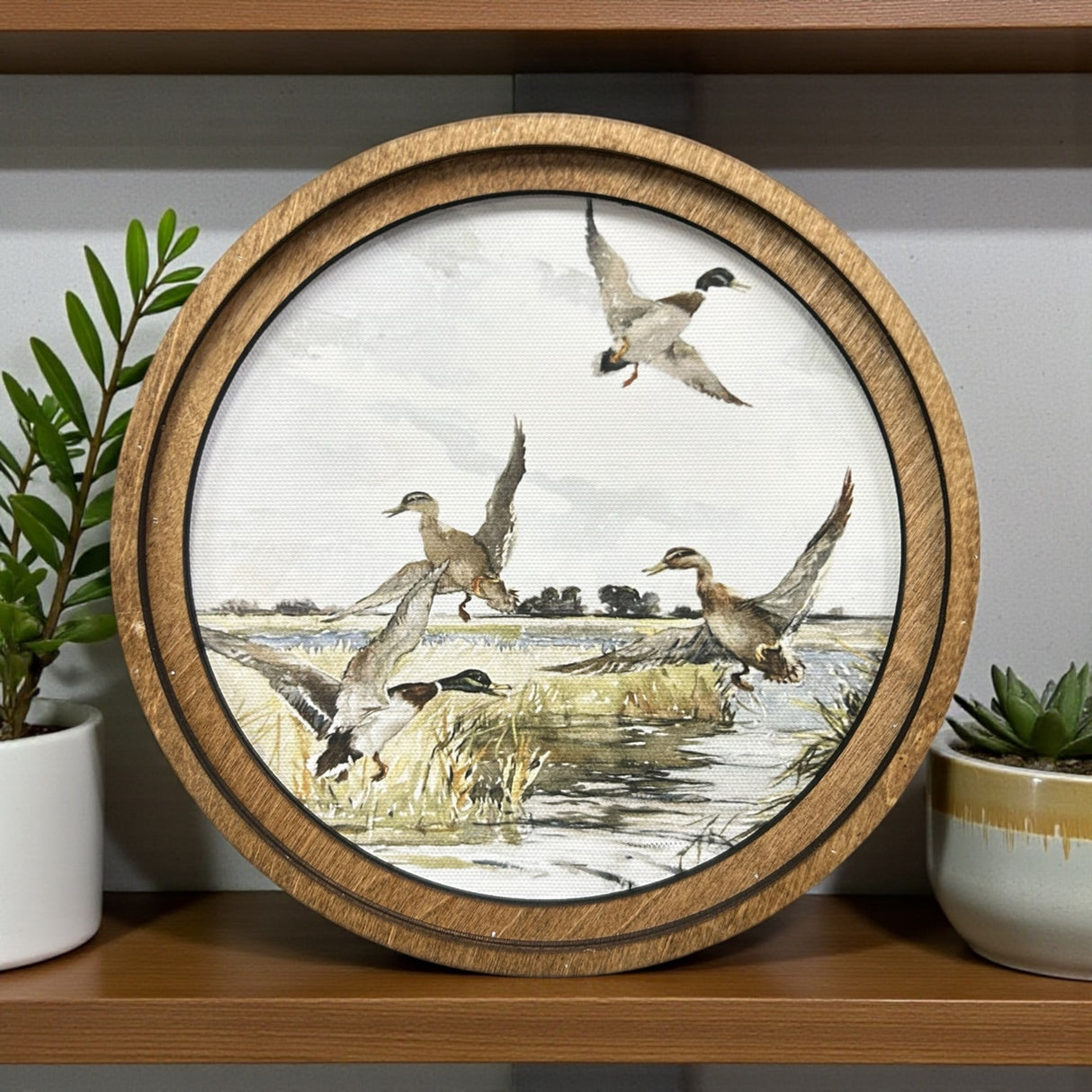 Round Mallard Canvas Photo