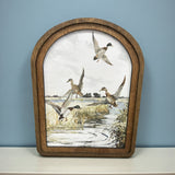 Arch Top Mallard Canvas Photo