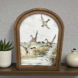 Arch Top Mallard Canvas Photo