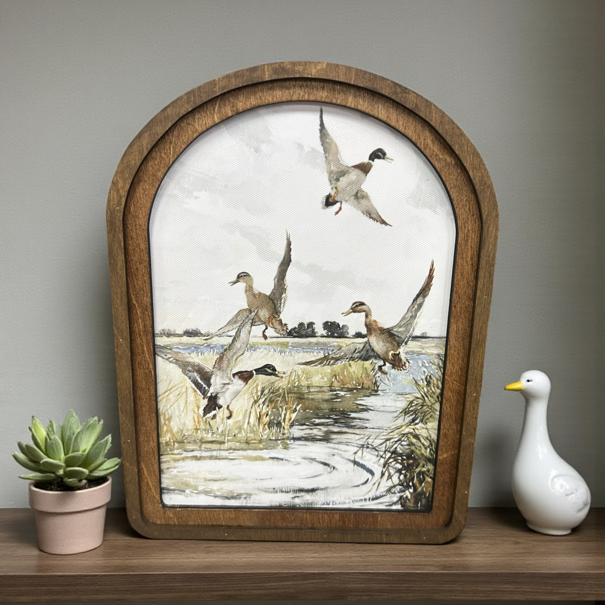 Arch Top Mallard Canvas Photo