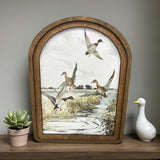 Arch Top Mallard Canvas Photo