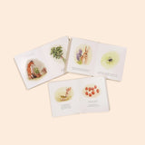 Our Little Adventures Book Set