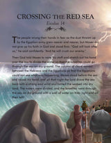 The Complete Illustrated Children’s Bible