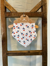 Astropops Bamboo Bib