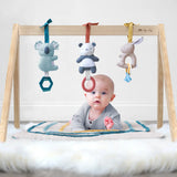 Bitzy Bespoke Ritzy Wooden Activity Gym + Toys