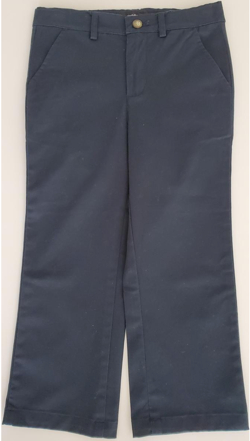 Navy Chino Pants