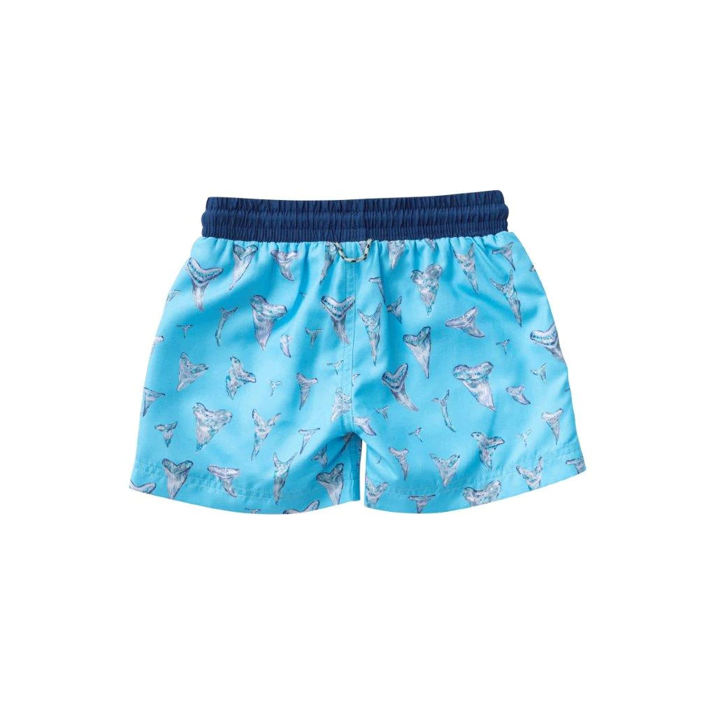 Shark Tooth Trunks