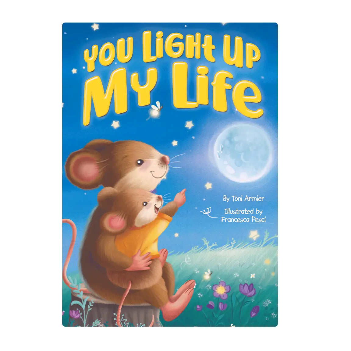 You Light Up My Life Book